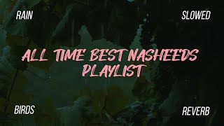 5 Nasheed Which Is Everyones All Time Favorite Nasheeds Playlist Hashnooor