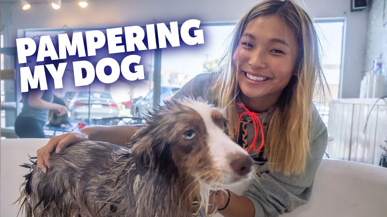 A Day of Pampering My Dog, Reese