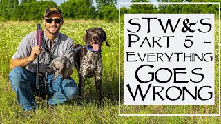 Hunting Dog Training  Steady To Wing and Shot  Step 5  Everything Goes Wrong