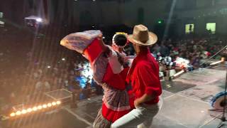El Sauce Y La Palma / Sinaloense  “ Mariachi Femenil Nuevo Tecalitlán “