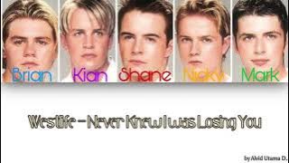 Westlife - Never Knew I was Losing You (Color Coded Lyrics)