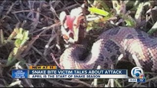 Snake bite victim talks about attack