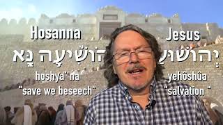 The Rocks Will Cry Out - Luke 19:28-44