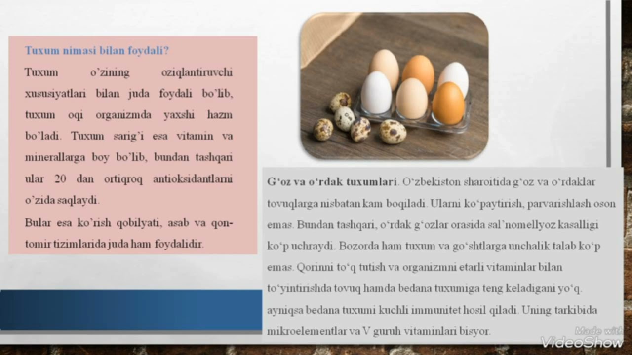 Porno lesbian tasmali bekasi