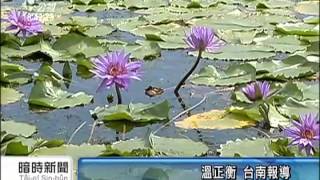 20150602 公視暗時新聞