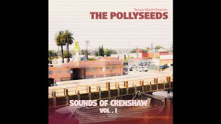 Terrace Martin Presents The Pollyseeds - Funny How Time Flies chords