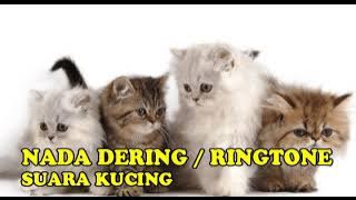 RINGTONE||NADA DERING SUARA ANAK KUCING BAGUS BANGET BUAT NADA TELEPON||HP||HANDPHONE