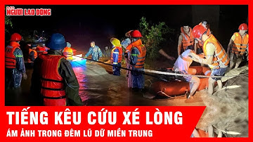 Ám ảnh đoạn “clip không hình" và lời cầu cứu của 3 mẹ con giữa đêm lũ lịch sử Đắk Lắk | Tin tức