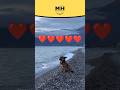 Happy Valentine's day ❤️❤️❤️ #@MasterofHumorMH #animalvoiceover #shortsfeed