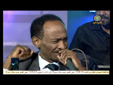 محمود تاور وليد زاكي الدين يمة الشوق