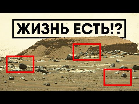 Perseverance нашел жизнь на Марсе?