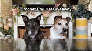 Viral Crocheted Food Dog Hat Maker Shares Spaghetti & Meatballs