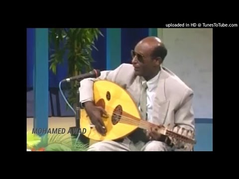 محمد الامين بدور القلعة عود