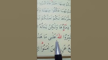 سورة الحج الأية 37 إلى 38 القارئ سعد الغامدي