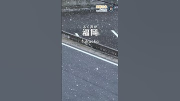 福岡下雪 Snowfall in Fukuoka #日本 #Snow #Japan #Fukuoka #雪