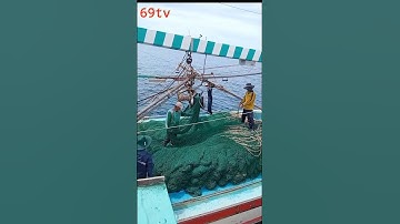 trực tiếp ghe lưới xù 16 tỉ kéo lưới|69tv#short