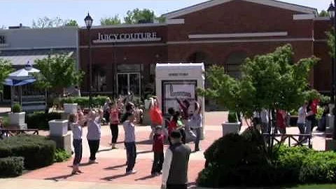 Relay Flash Mob (2011)