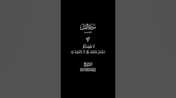 الآيات 18-19 سورة النمل #ياسر_الدوسري