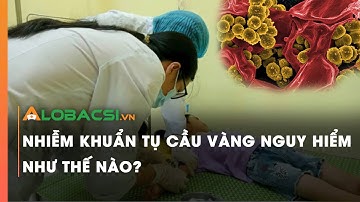 Nhiễm khuẩn tụ cầu vàng nguy hiểm như thế nào? | Video Alobacsi