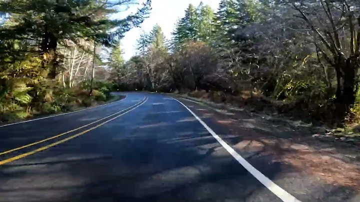 Yachats River Road 2022