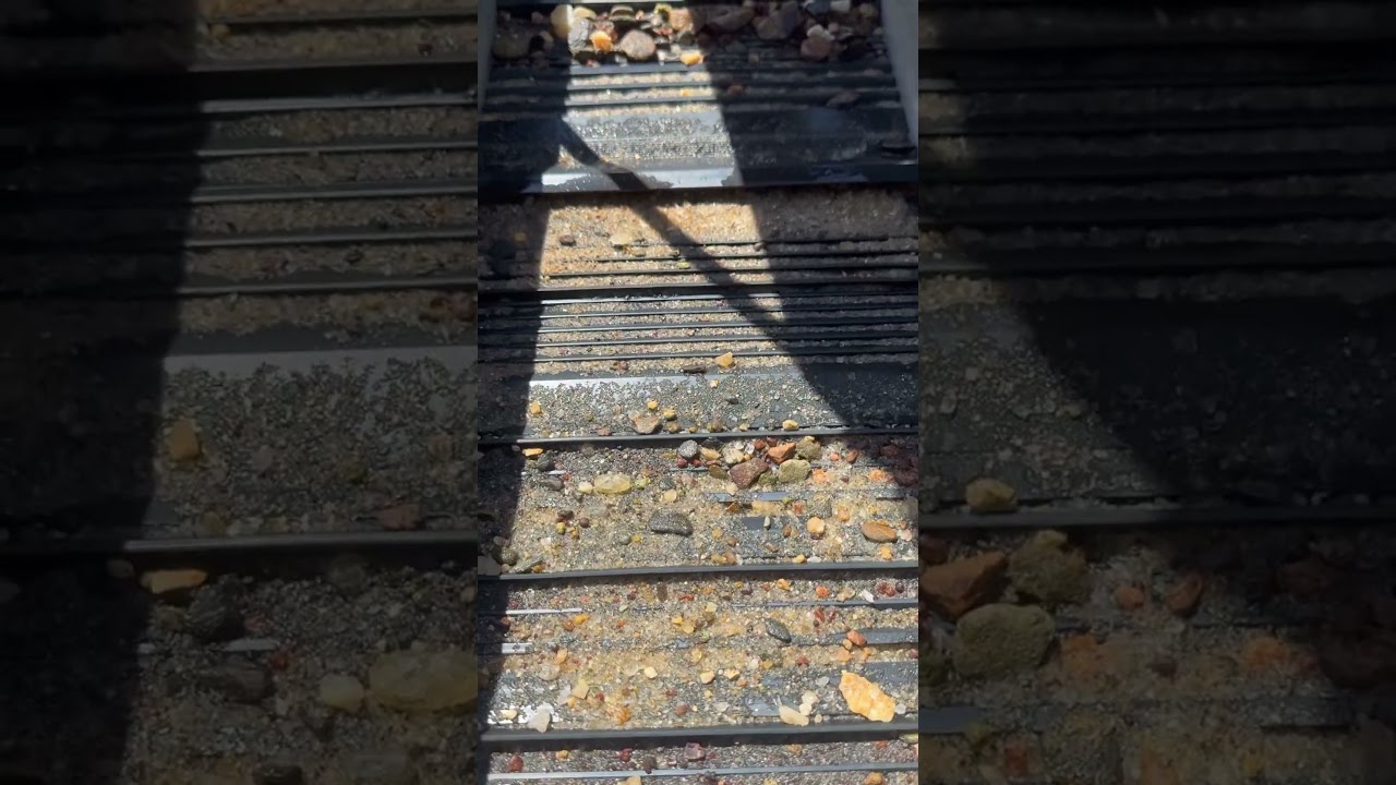 Looking for Gold in the Mats 