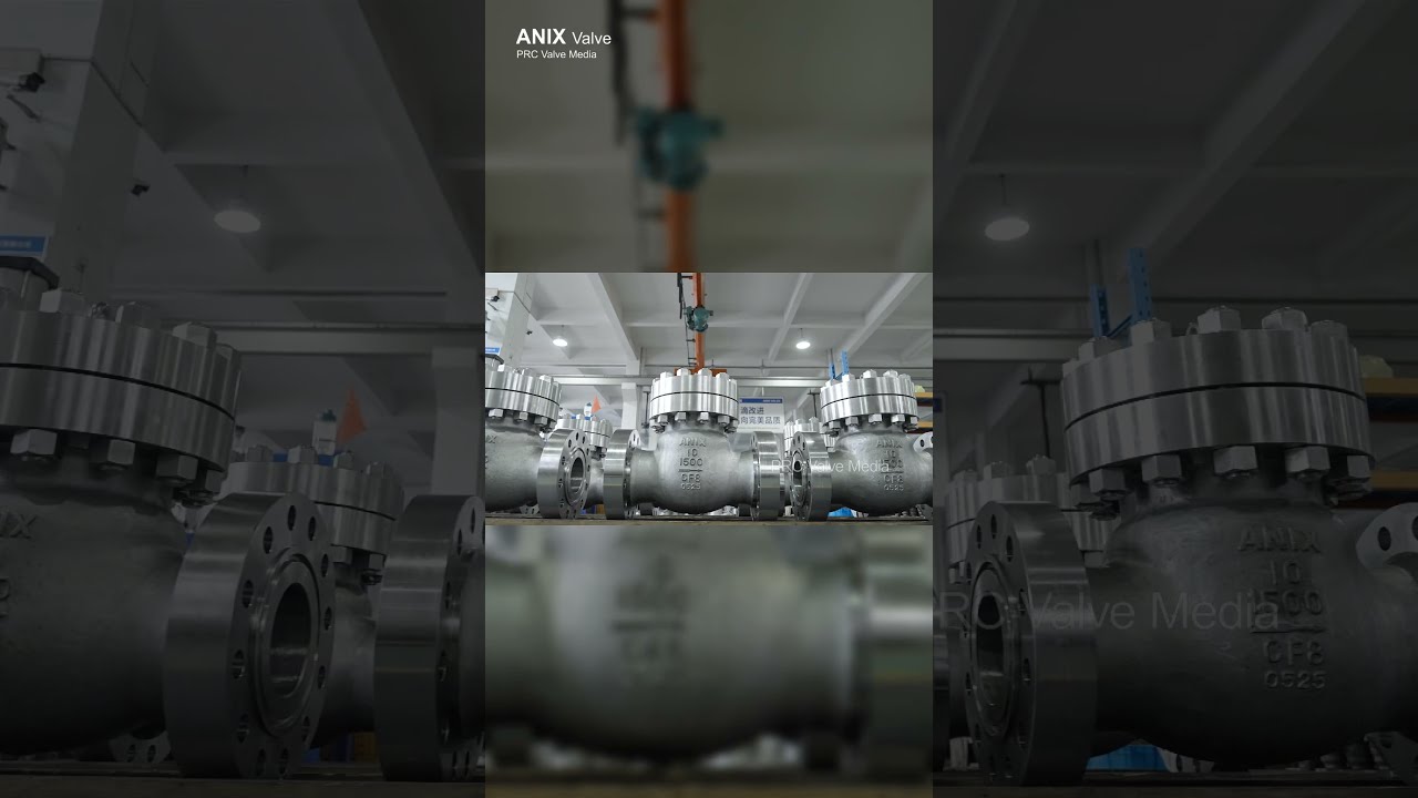 10 1500LB Check Valve AINIX CheckValve