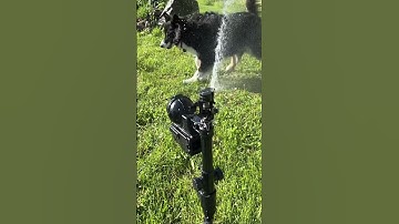 Bust a Move! Parker Approved Orbit Deer Sprinkler! #pplanetapproved #pplanetgardening