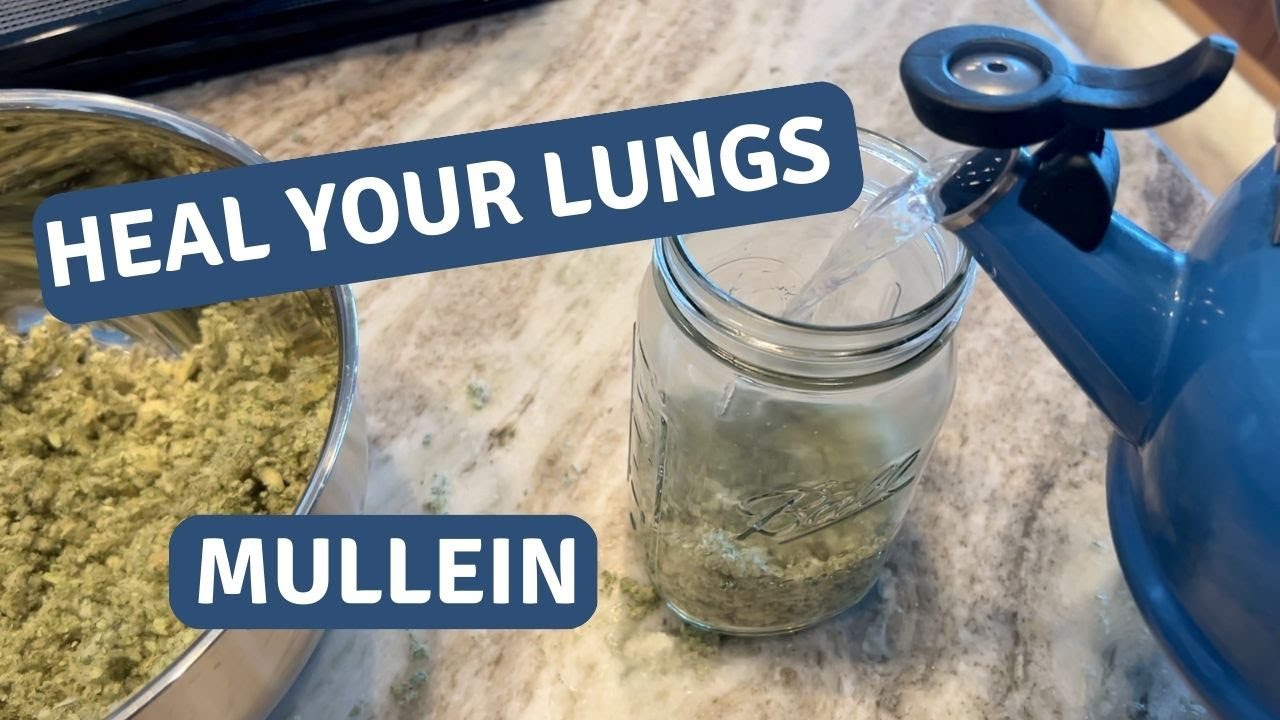 Boost Your Lung Health Naturally: A Step-by-Step Guide to Making Mullein Tea