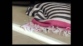 Lapetina Ken Burns Effect