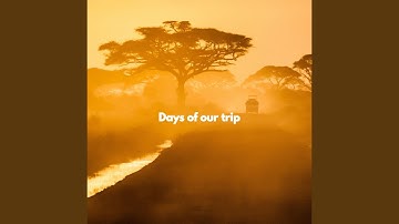 Simplistic Backdrops for Laid-back Senses