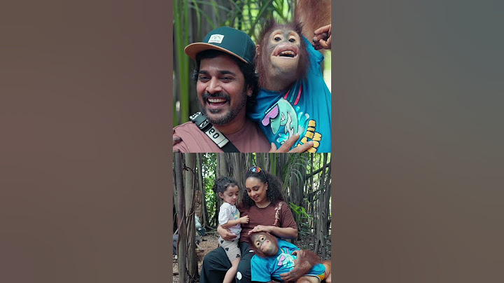 Safari vlog | Adichu keri va #pearlemaaney #srinisharavind #shorts