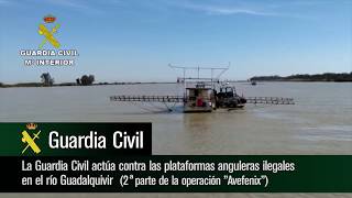 Operación #Ave Fénix. La Guardia Civil contra las plataformas anguleras ilegales en el Guadalquivir
