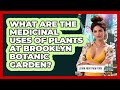 What Are The Medicinal Uses Of Plants At Brooklyn Botanic Garden? - Learn About New York