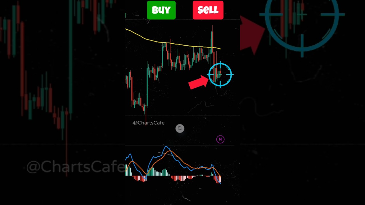 Buy or Sell? MACD divergence trading Strategy | MACD trading Strategy 