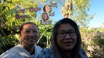 Growing Trees in Small Spaces