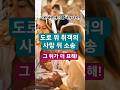 도로에 누워자던 취객의 사망. 그런데 소송 뒤가 더 묘하다? #교통사고