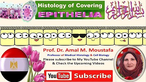 Histology lecture of covering Epithelium  Dr.  Ama...