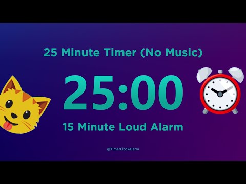 25 minute Timer
