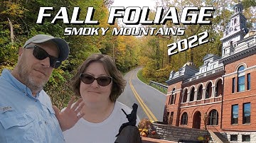 SMOKY MOUNTAINS FALL FOLIAGE 2022 | AMAZING FALL COLORS