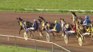 Vidéo de la course PMU PRIX DE WOLVEGA