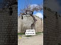 تعرف على تاريخ مدينة رام الله الفلسطينية