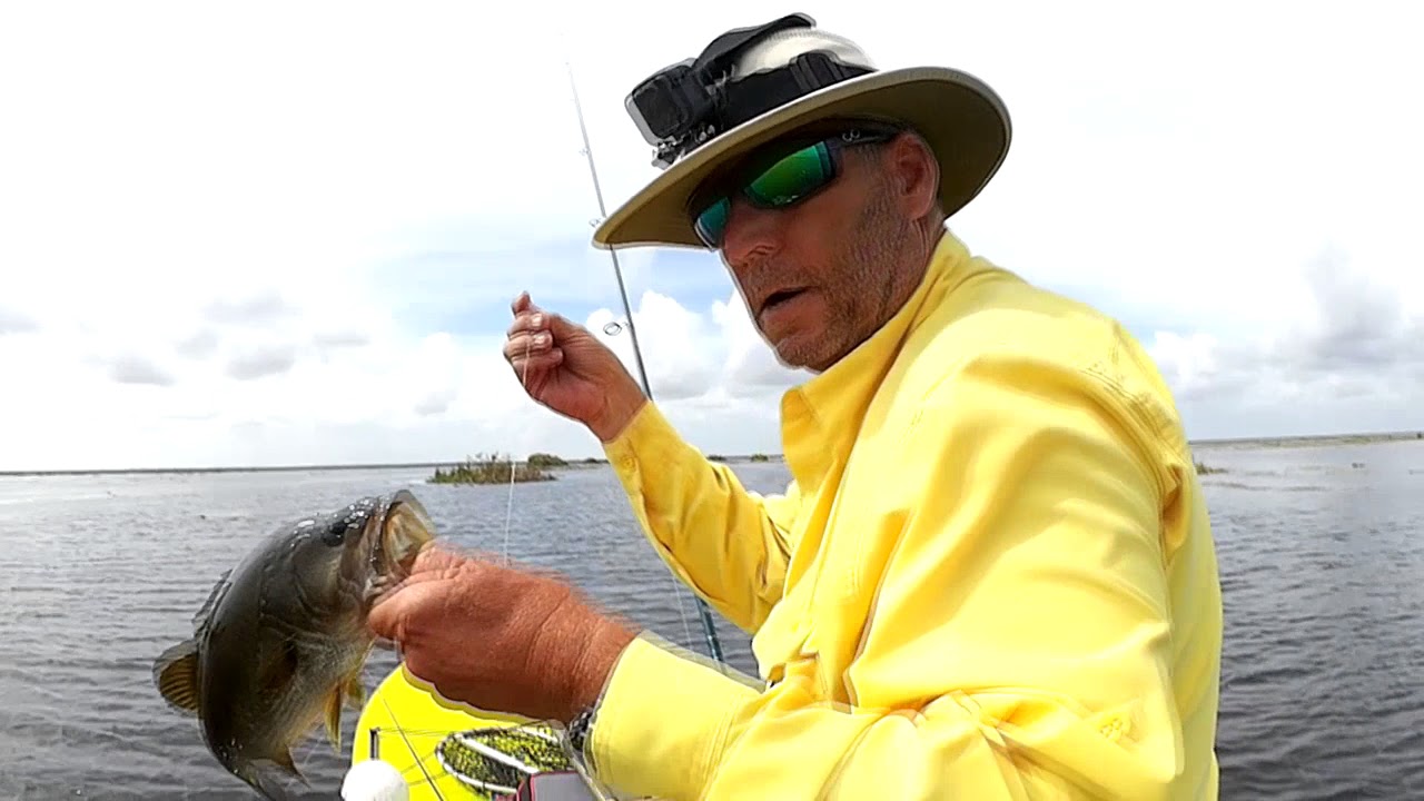 Fellsmere Water Management Area Kayak Launch, Fellsmere Reservoir - YouTube