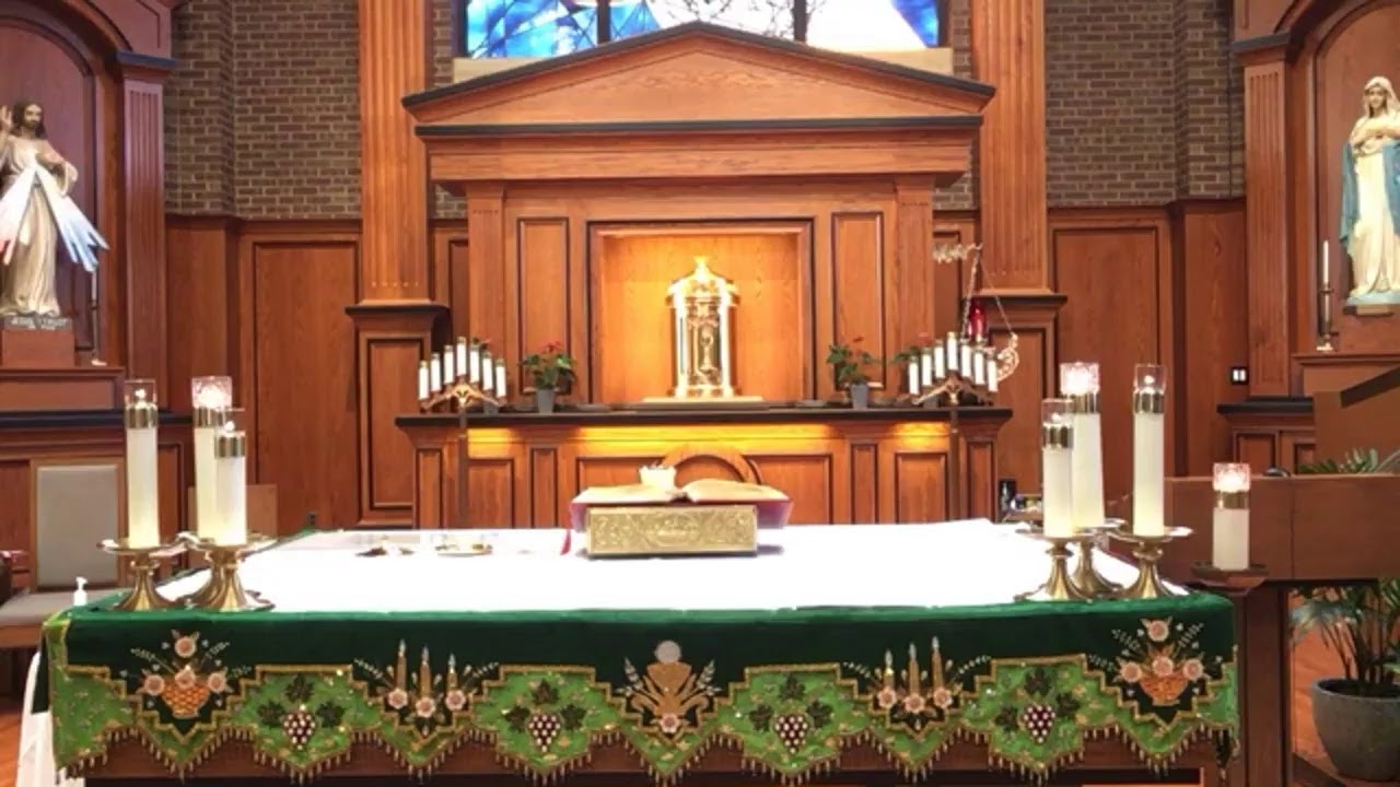 daily mass daily mass
