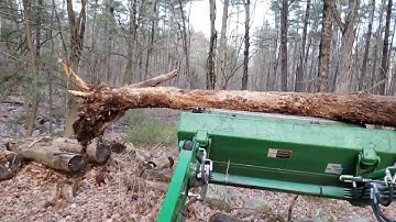 Moving a tree with the backhoe