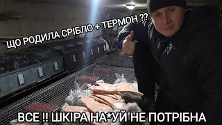 :  ϲ . òֲ в    ? ʲ   Ͳ 