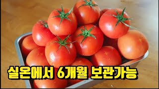 🍅지금 냉장고에 토마토가 있다면 꼭! 이렇게 드세요~ 의사들도 추천하는 토마토 건강하게 먹는 법👍암예방, 노화방지에 탁월