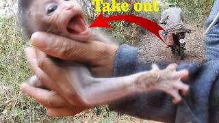 1/First Meet Monkey VALEN When go visit farm with brother I requested poor baby from farmer for feed