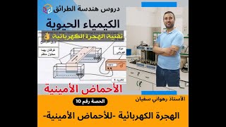 الدرس رقـــــم 10 الهجرة الكهربائية  للأحماض الأمينية