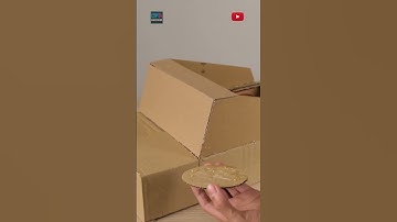 Cardboard Police Car Costume