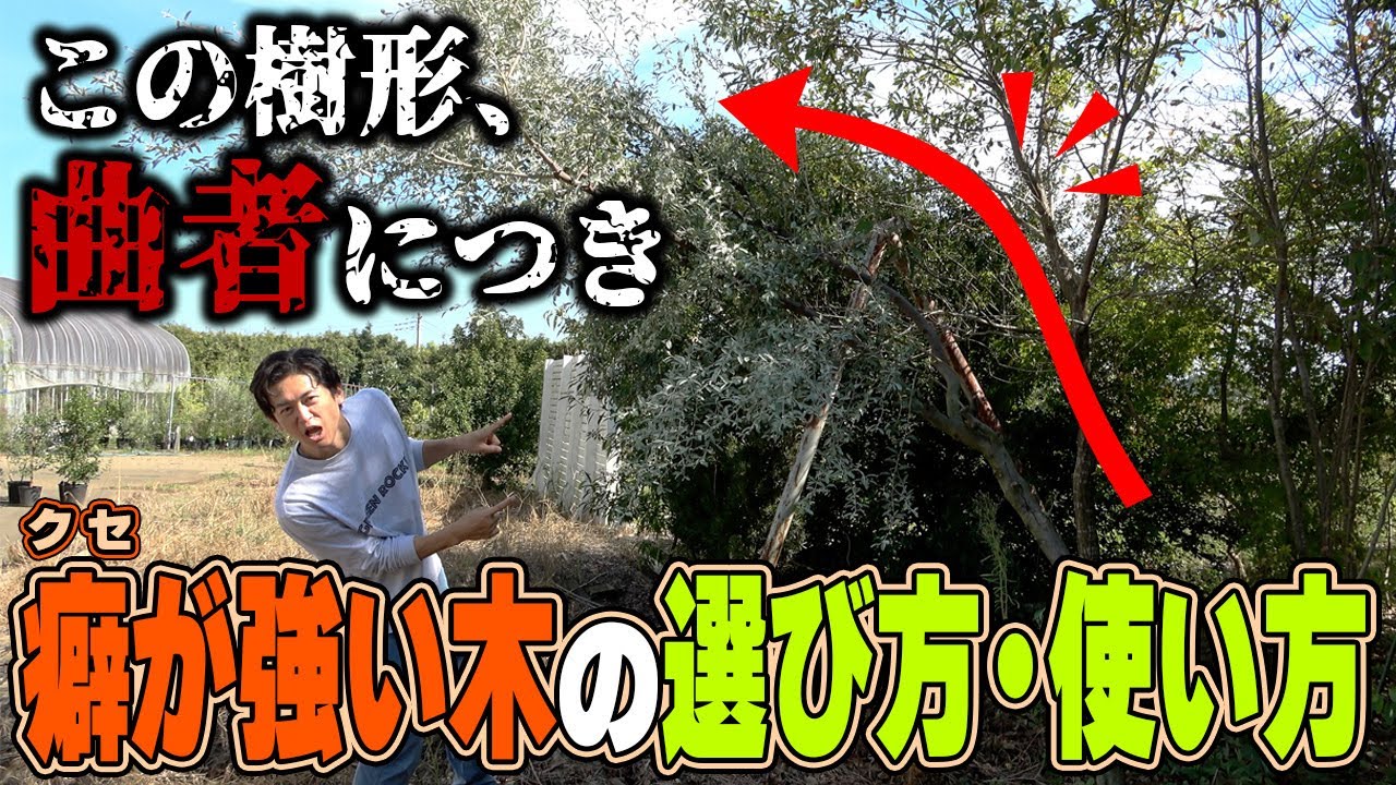 The opposite choice] Create a super natural garden with strangely